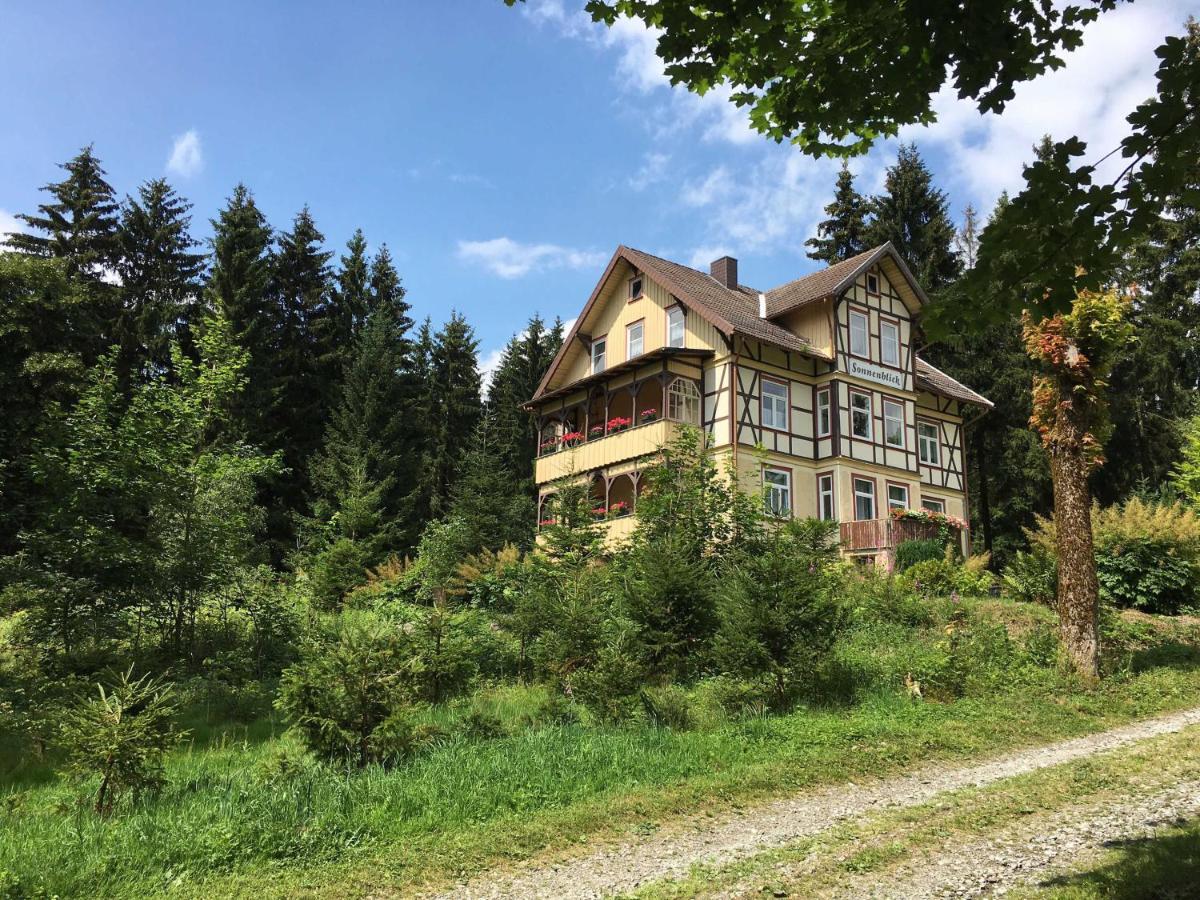 Apartament Haus Sonnenblick Benneckenstein Zewnętrze zdjęcie