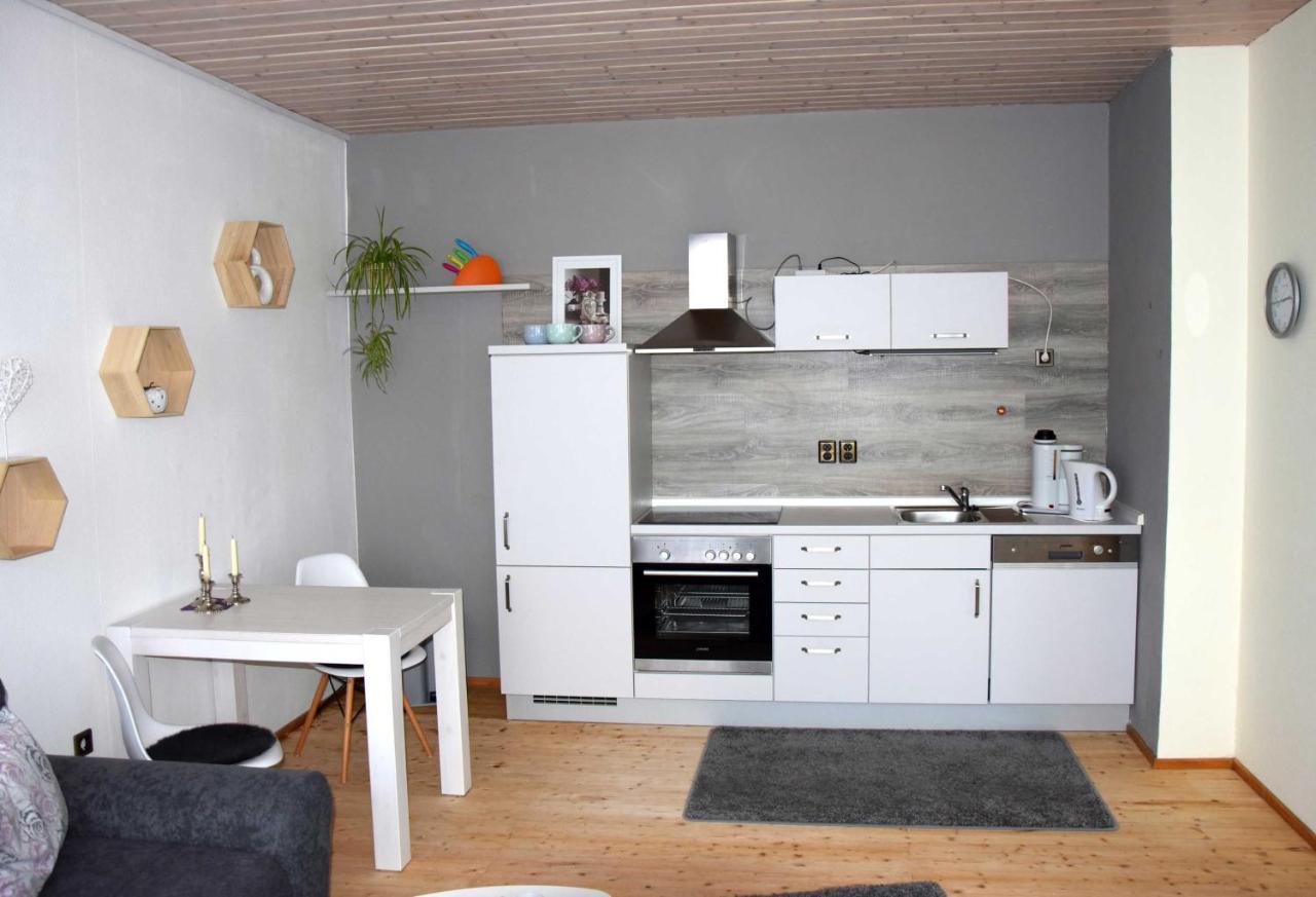 Apartament Haus Sonnenblick Benneckenstein Zewnętrze zdjęcie