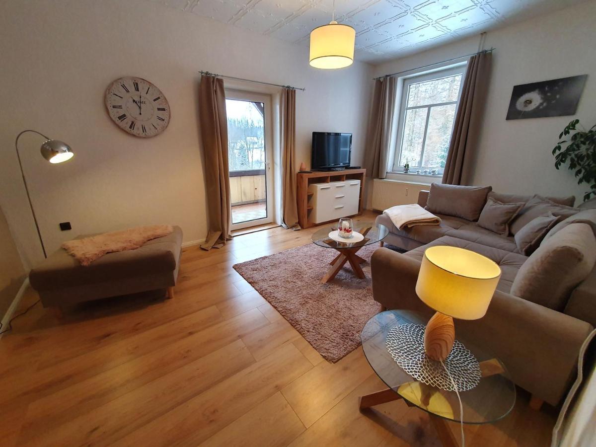 Apartament Haus Sonnenblick Benneckenstein Zewnętrze zdjęcie