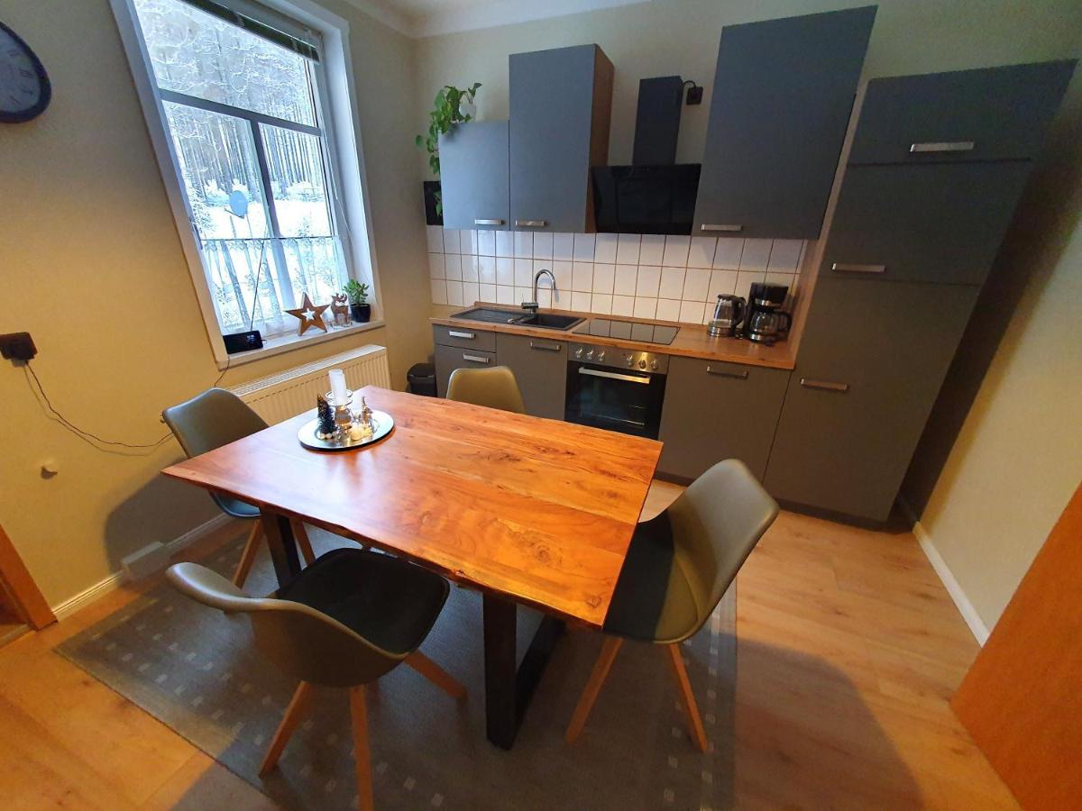 Apartament Haus Sonnenblick Benneckenstein Zewnętrze zdjęcie